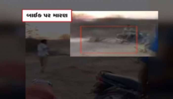 Video : જંગલના રાજાની હાલત કૂતરાની જેમ કરી નાંખી, બેખોફ બની ગયેલા લોકોએ સિંહને બાઈક પાછળ દોડાવ્યો