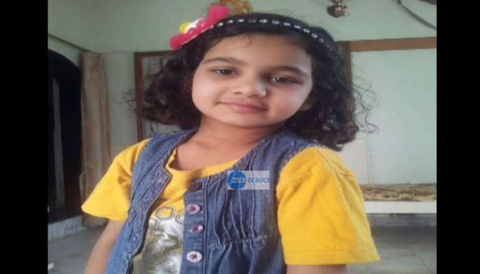 જૂનાગઢ: કોંગ્રેસના ધારાસભ્ય ભીખાભાઈ જોશીના પરિવારને અકસ્માત નડ્યો, પૌત્રીનું મોત જૂનાગઢ: કોંગ્રેસના ધારાસભ્ય ભીખાભાઈ જોશીના પરિવારને અકસ્માત નડ્યો, પૌત્રીનું મોત
