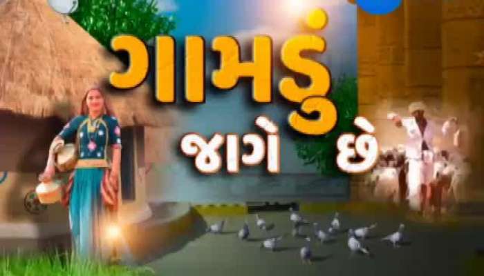 ગામડું જાગે છે: આણંદ સોલાર પેનલથી આવક