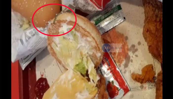 વડોદરા: KFC રેસ્ટોરન્ટના બર્ગરમાંથી નીકળી જીવતી ઈયળ, જુઓ VIDEO