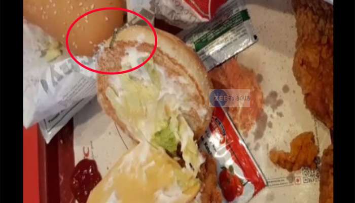 વડોદરા: KFC રેસ્ટોરન્ટના બર્ગરમાંથી નીકળી જીવતી ઈયળ, જુઓ VIDEO વડોદરા: KFC રેસ્ટોરન્ટના બર્ગરમાંથી નીકળી જીવતી ઈયળ, જુઓ VIDEO