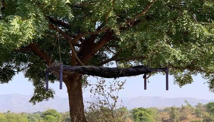 ગુજરાતના આ સ્થળે 6 મહિનાથી ન્યાય માટે ઝાડ પર લટકી રહ્યો છે યુવકનો મૃતદેહ