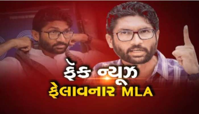 Fake Video પોસ્ટ કરીને ડિલીટ કરનાર ધારાસભ્ય જિજ્ઞેશ મેવાણીએ શું કહ્યું, જાણો