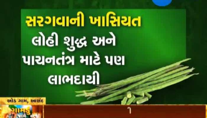 ગુજરાતના ખેડૂતો પારંપરિક ખેતી છોડી નવતર ખેતી તરફ કેવી રીતે વળી રહ્યાં છે