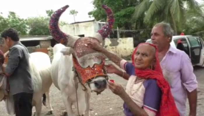 ‘વાયુ’ને કારણે ગુજરાતના ખેડૂતોને મળી મોટી ખુશી, ખાસ મુહૂર્તમાં કરી શક્યા..