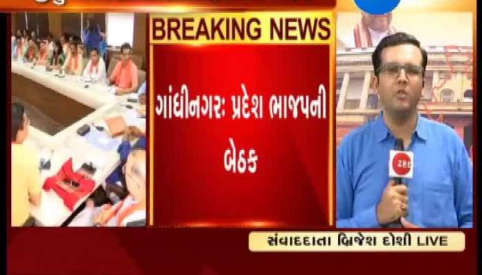 પ્રદેશ ભાજપની બેઠક શરૂ, જુઓ કયા મુદ્દાઓ પર થશે ચર્ચા 