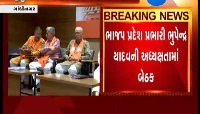 ભાજપ પ્રદેશ પ્રભારી ભુપેન્દ્ર યાદવની અધ્યક્ષતામાં યોજાઈ બેઠક, જુઓ કયા મુદ્દાઓ પર થશે ચર્ચા  
