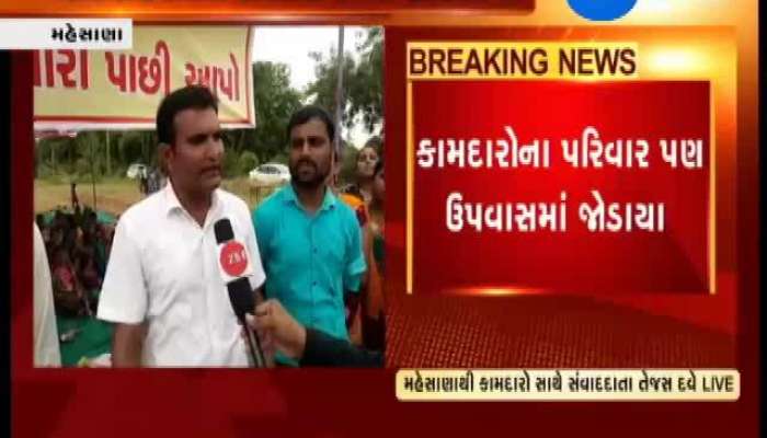 Mehsana: Workers Of Private Company Go On Strike
