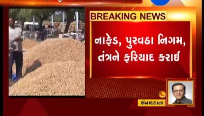 વિધાનસભામાં મગફળી-તુવેરની ખરીદી પર ઊઠ્યા સવાલ, જુઓ વિગત 