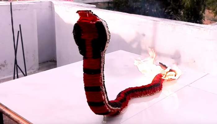 OMG...આ તે કેવો પૂંછડીથી આગ ઓકતો સાપ?, જુઓ VIDEO