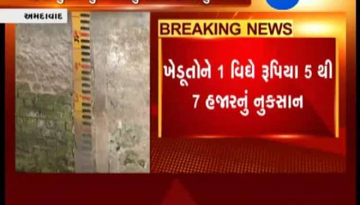 પાણી ન મળતા ડાંગરનો ધરું સુકાયો, ખેડૂતોએ આ રીતે નોંધાવ્યો વિરોધ