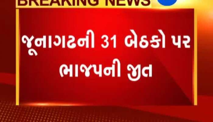 જૂનાગઢ મહાનગર પાલિકાની ચૂંટણીમાં ભાજપનો ભગવો લહેરાયો, જીતી 31 બેઠકો