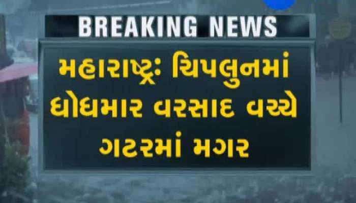 મહારાષ્ટ્રનાં ચિપલુન ખાતે ગટરમાં મગર ફસાયો !