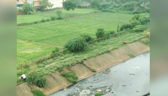 ગંદા પાણીથી ખેતી કરતા દેશોમાં ભારત ટોપ 5માં, ગુજરાતમાં થાય છે ઝેરી શાકભાજી