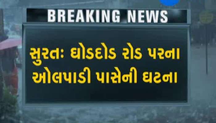 સુરતમાં વ્યક્તિ પર પડ્યું તોતિંગ ઝાડ અને પછી...