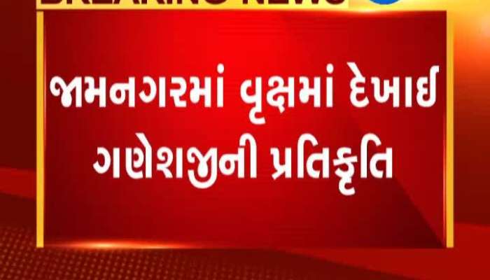 Zee news live gujarati sale