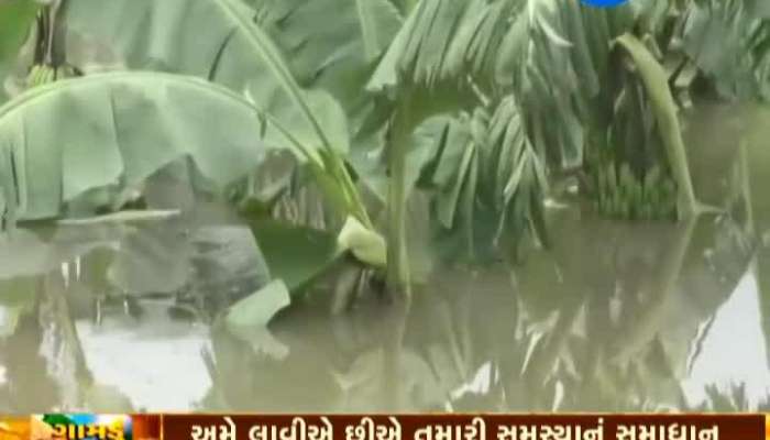 ભરૂચ: વરસાદી પાણીના કારણે ખેડૂતો અને ગામલોકો છે પરેશાન, જુઓ 'ગામડું જાગે છે'