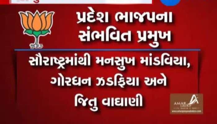 કોણ બની શકે છે ભાજપના નવા પ્રદેશ પ્રમુખ? જાણો વિગત 