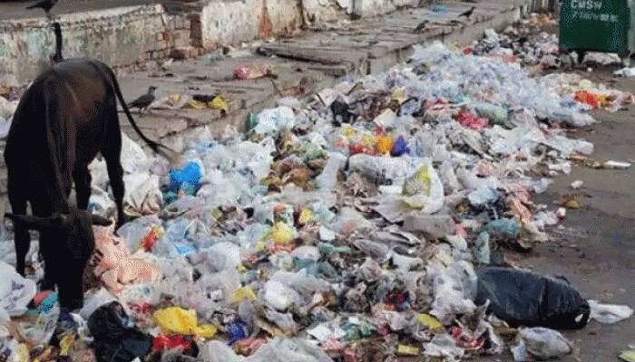 જાણો સિંગલ યુઝ પ્લાસ્ટિક કઇ બલાનું છે નામ? સરકારને પણ કરવી પડી અપીલ