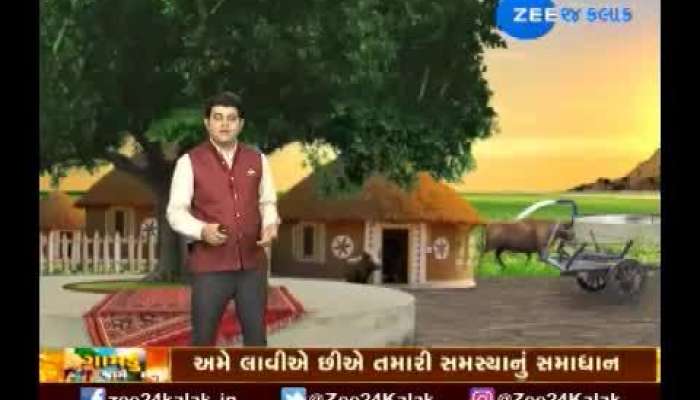  અવનવા રિંગણની ખેતી કઈ રીતે થાય છે, જુઓ ગામડું જાગે છે  