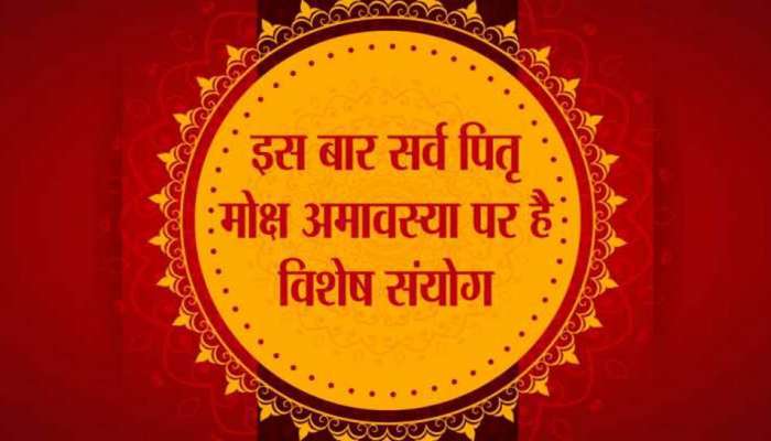 સર્વ પિતૃ અમાસ પર 20 વર્ષ બાદ બની રહ્યો છે ખાસ સંયોગ, જાણી લો કેવી રીતે પિતૃઓને ખુશ કરશો સર્વ પિતૃ અમાસ પર 20 વર્ષ બાદ બની રહ્યો છે ખાસ સંયોગ, જાણી લો કેવી રીતે પિતૃઓને ખુશ કરશો