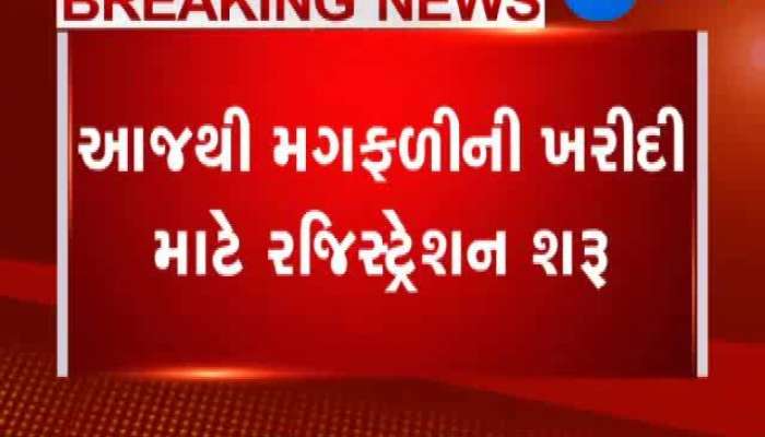 રાજકોટમાં મગફળીની ખરીદી માટે રજિસ્ટ્રેશનમાં સર્જાઇ અવ્યવસ્થા