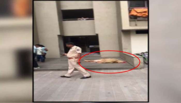 અમદાવાદ : 13મા માળથી કૂદેલી મહિલાનું મોત, જે વૃદ્ધ પર પડી તેમનું પણ મોત થયું  