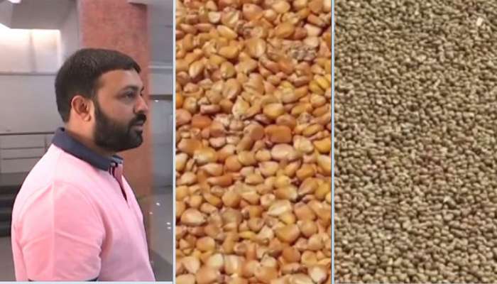 મકાઈના જાહેર કરાયેલા ટેકાના ભાવથી નારાજ છે પંચમહાલના ખેડૂતો, જુઓ શું કહ્યું...  