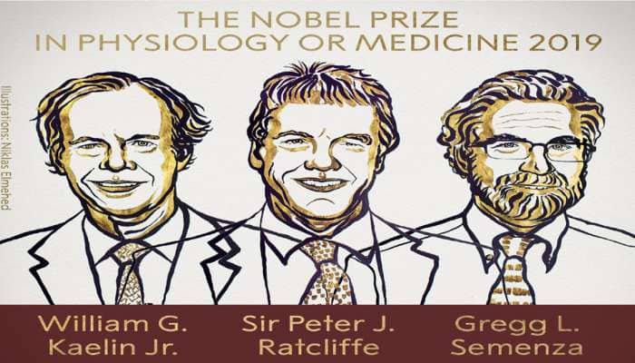 Nobel Prize 2019 : બે અમેરિકન અને એક બ્રિટિશરને મળ્યો મેડિસિનનો નોબેલ