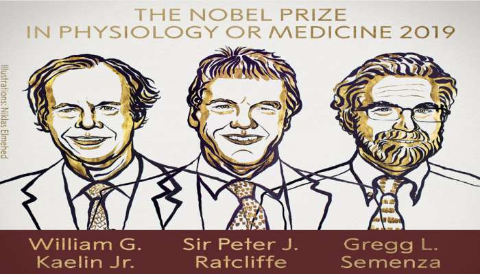 Nobel Prize 2019 : બે અમેરિકન અને એક બ્રિટિશરને મળ્યો મેડિસિનનો નોબેલ Nobel Prize 2019 : બે અમેરિકન અને એક બ્રિટિશરને મળ્યો મેડિસિનનો નોબેલ