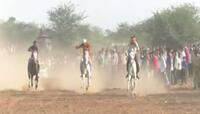 વિસનગર: અશ્વદોડ સ્પર્ધાની 200 વર્ષ જૂની પરંપરા, વાયુ વેગે દોડ્યા ઘોડા 