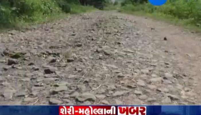 શેરી મહોલ્લાની ખબર : ચિખલીના લોકોને સતાવે છે કેવીકેવી સમસ્યા?
