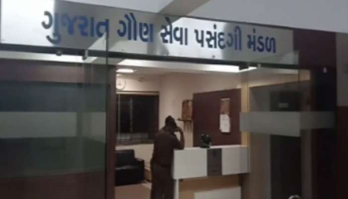 સરકારે બિનસચિવાલય ક્લાર્ક અને ઓફિસ આસિસ્ટન્ટની પરીક્ષા કેન્સલ થવાનું ખરુ કારણ આપ્યું સરકારે બિનસચિવાલય ક્લાર્ક અને ઓફિસ આસિસ્ટન્ટની પરીક્ષા કેન્સલ થવાનું ખરુ કારણ આપ્યું