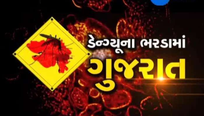 ડેન્ગ્યૂના ભરડામાં ગુજરાત: ડેન્ગ્યૂને ડામવા આરોગ્ય વિભાગનો અનોખો પ્રયાસ