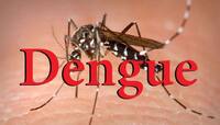 અમદાવાદ: ડેન્ગ્યુનાં કારણે 8 વર્ષની બાળકી સહિત 3નાં મોત, તંત્ર મુકપ્રેક્ષક