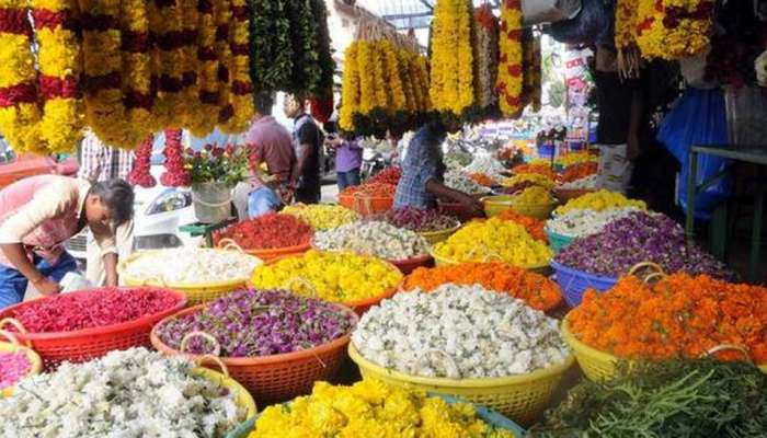 લીલા દુષ્કાળના કારણે પાક. નિષ્ફળ: તહેવાર ટાણે ફુલો પણ 5 ગણા ભાવે વેચાઇ છે