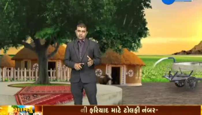 ગામડું જાગે છે: ઓલપાડના ત્રણ ગામડાઓમાં વાવાઝોડાની અસર