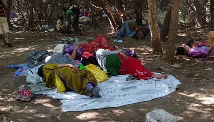 જુનાગઢ : ગીરનારની લીલી પરિક્રમા કરવા જતા પહેલા આ જરૂર વાંચો, નહી તો પસ્તાશો...
