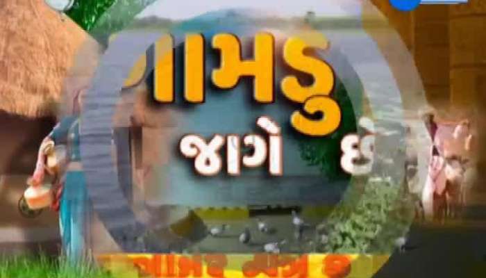  ગામડું જાગે છે: મહિસાગરના લુણાવાડામાં કમોસમી વરસાદથી ખેડૂતોના હાલ થયા બેહાલ