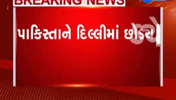 દિલ્હીમાં પાકિસ્તાન વધારે છે પ્રદૂષણ: ભાજપના નેતા