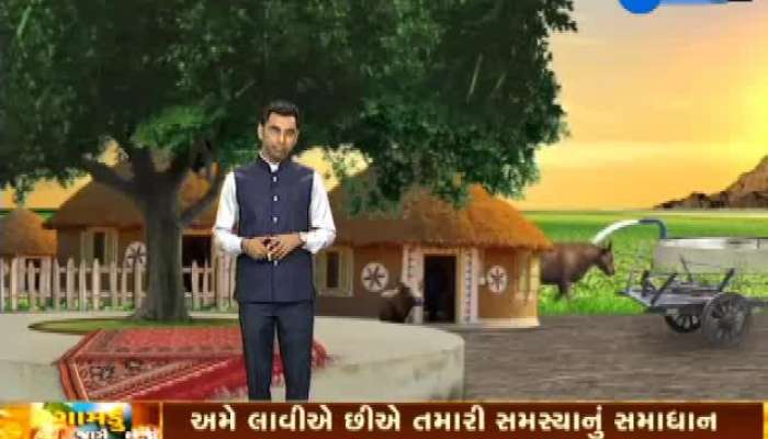 ગામડું જાગે છે: બાયડના ખેડૂતોને માવઠાથી થઇ મોટી અસર, પાક નિષ્ફળ