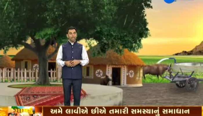 ગામડું જાગે છે: માવઠાથી થરાદમાં દાડમની ખેતીને મોટું નુકસાન