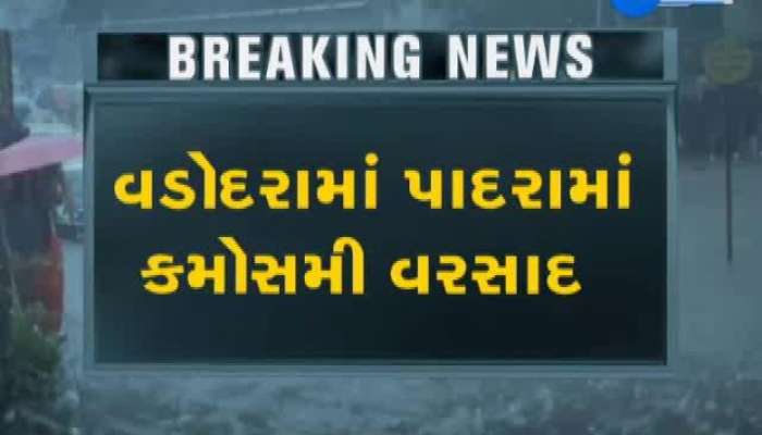 જાણો વડોદરાના કયા કયા વિસ્તારમાં જોવા મળી વાવાઝોડાની અસર