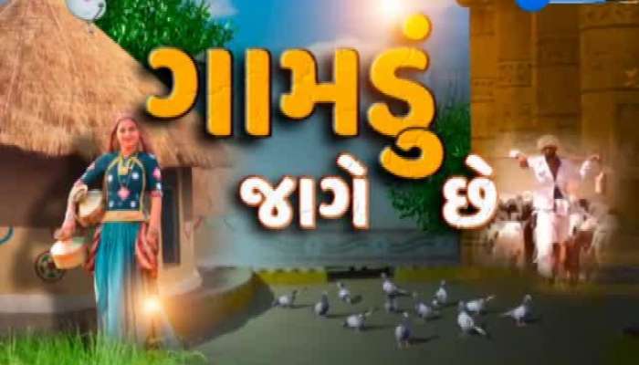 ગામડુ જાગે છે: વલસાડમાં ડાંગરનો ઉભો પાક નિષ્ફળ...