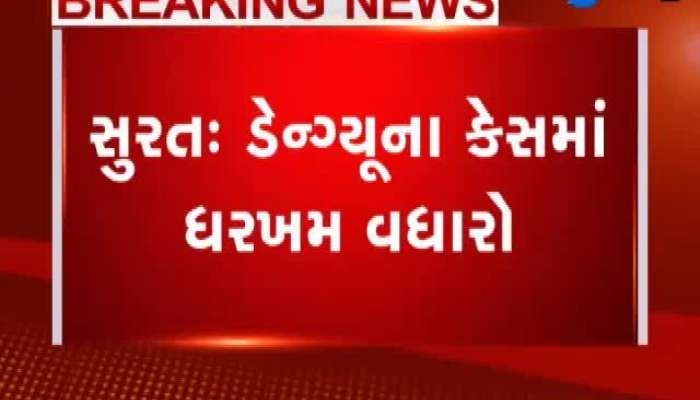 સુરતમાં ડેંગ્યુના કેસમાં ધરખમ વધારો, એક જ સોસાયટીમાં નોંધાયા 25 કેસ