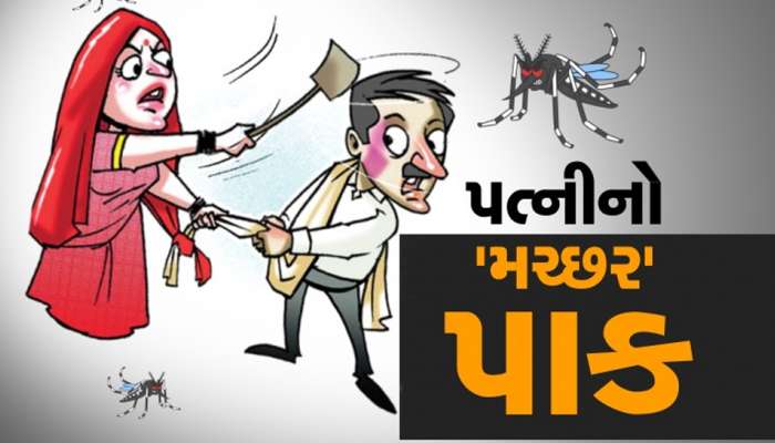 પતિ લાઇટ બિલ ભરવાનું ભુલી ગયો કનેક્શન કપાઇ ગયા બાદ પત્નીએ કર્યું એવું કે...