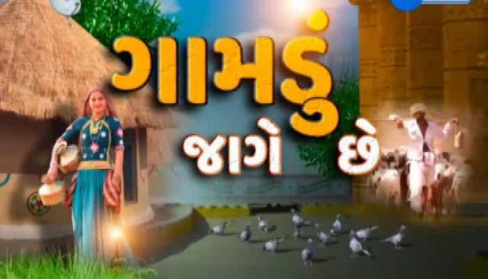 ગામડું જાગે છે: માવઠા બાદ શું છે ભાલ ગામના ખેડૂતોની વ્યથા, જુઓ વીડિયો 