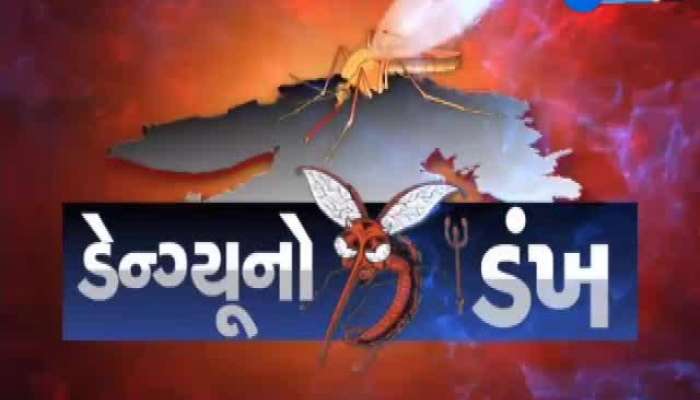 વડોદરામાં ડેન્ગ્યુથી 3 દિવસમાં 5ના મોત, સયાજી હોસ્પિટલના બેડ ખૂટી પડ્યા