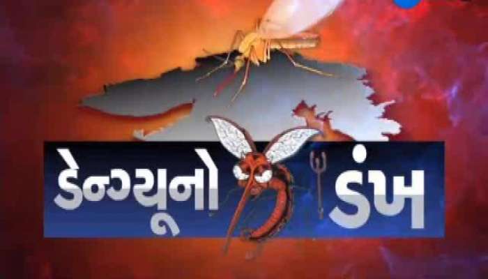 વડોદરામાં ડેન્ગ્યુનો કહેર યથાવત, વધુ 20 દર્દીઓના રિપોર્ટ આવ્યા પોઝિટિવ