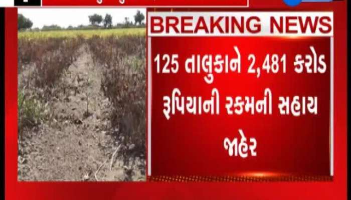 રાજ્ય સરકારના બીજા રાહત પેકેજ બાદ અરવલ્લીના ખેડૂતોની પ્રતિક્રિયા
